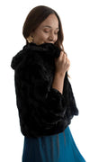 Arriendo de Peludo negro cortito con cuello grueso