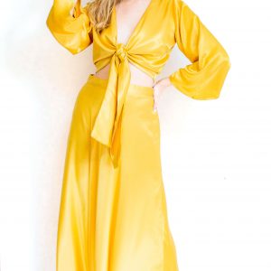 Arriendo de Conjunto dorado crop top y pollera larga